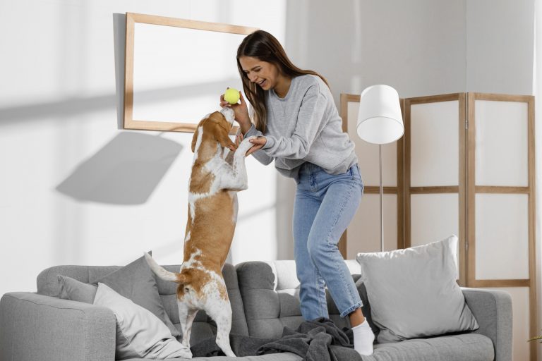 dog gear storage solutions