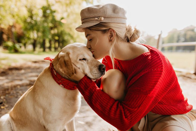 Ways Dogs Show Love
