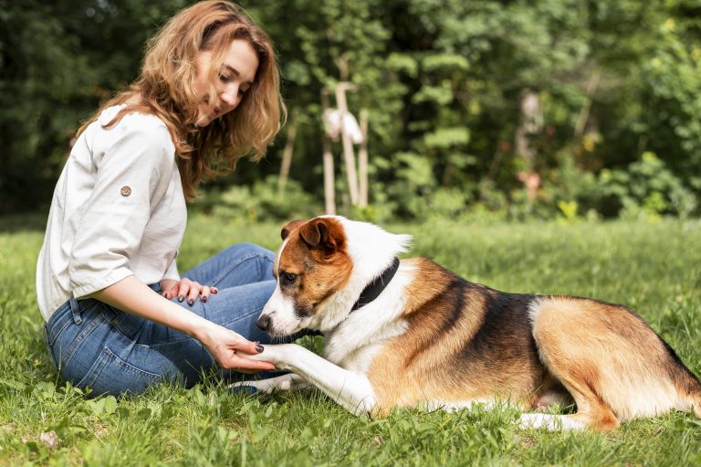 7 Strange Dog Habits That Actually Make Perfect Sense