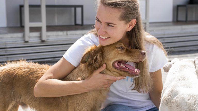 6 Clear Signs Your Dog Thinks of You as Their Favorite Person
