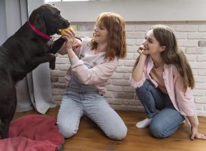 5 Powerful Ways Dogs Help Kids Learn Responsibility and Confidence