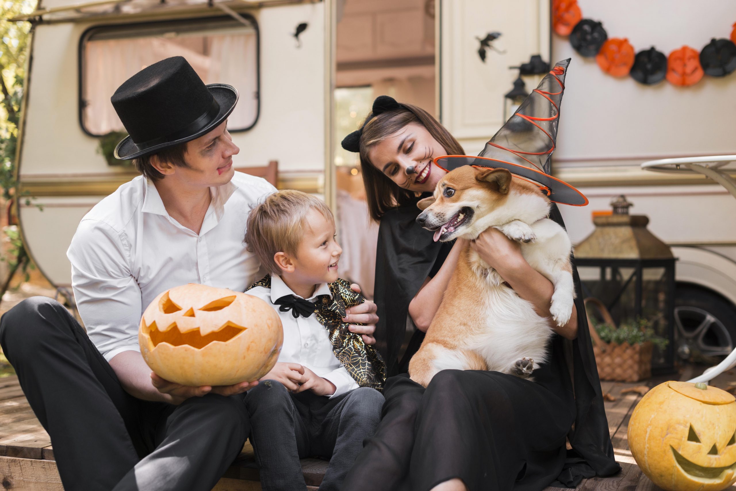Halloween Hazards Every Dog Owner Should Know