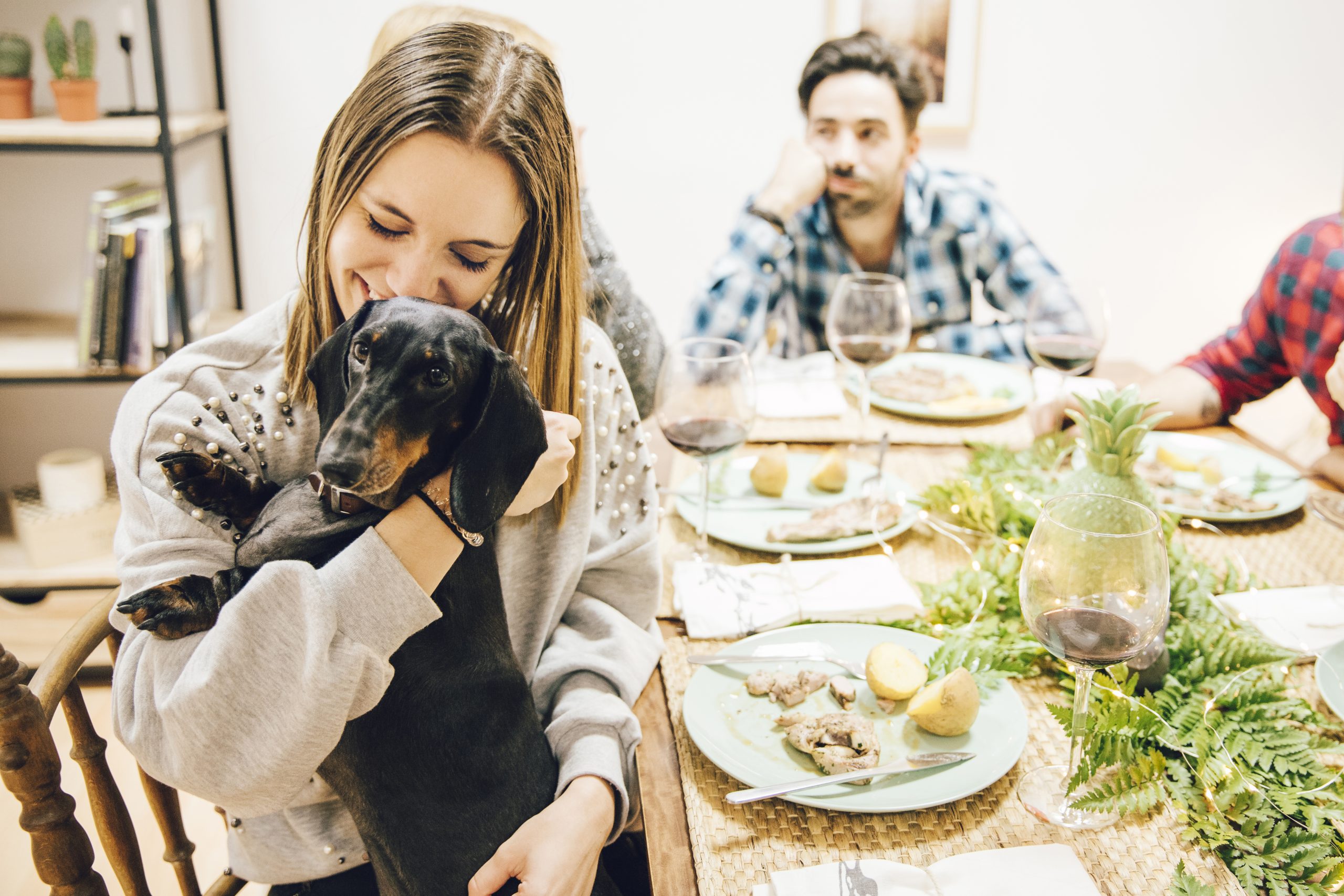 Holiday Leftovers for Dogs