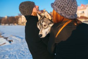 Why Dogs Are Clingy in Winter