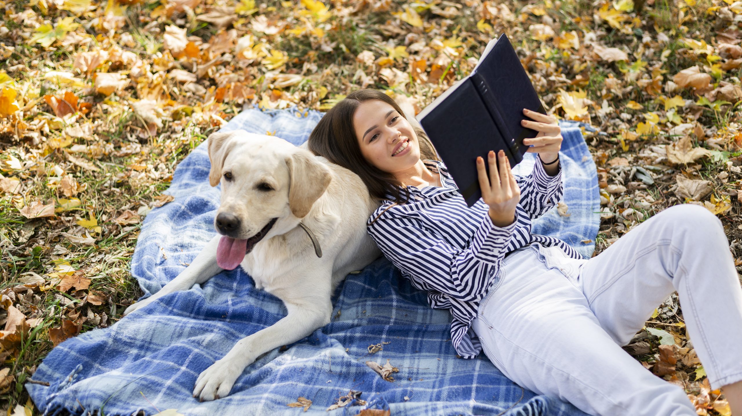 How Dogs Read Human Emotions