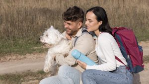 Holiday Travel Training Tips for Dogs