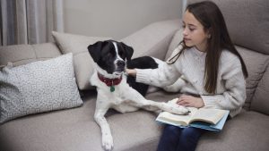 Reintroduce Alone Time for Dogs