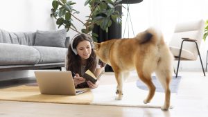 Can Dogs Learn Behaviors From Watching Videos