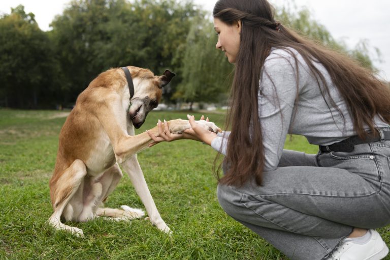 Dogs Understand Human Body Language