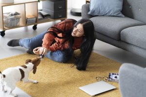 7 Indoor Activities to Keep Your Dog Happy During Cold Days