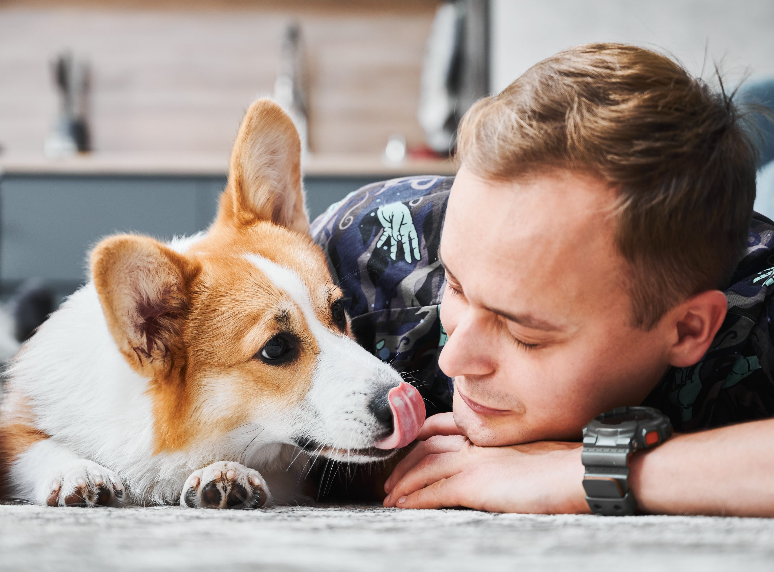 Reasons Dogs Suddenly Become More Affectionate