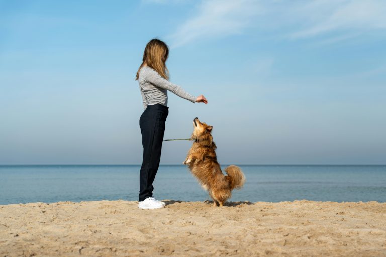 Ways Dogs Adapt Their Behavior to Match Your Lifestyle