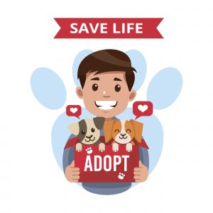 Rescue Dogs