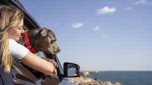 Unexpected Benefits of Taking Your Dog on Vacation