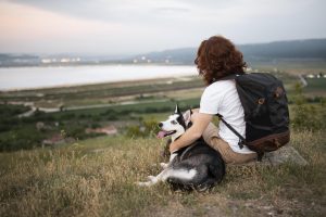 Unexpected Benefits of Taking Your Dog on Vacation